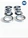Dual Double Vanos O Ring Seal Gasket Repair Kit for BMW E46 M52tu M54 e36 39 e60 e65 Z34 X3 X5...Include the Bearing Races for the Anti-Rattle Kit