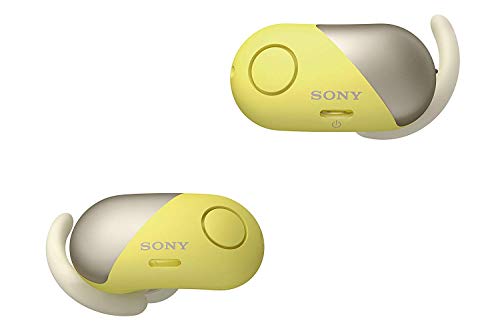 Sony Wireless Bluetooth in Ear Headphones: Noise Cancelling Sports Workout Ear Buds