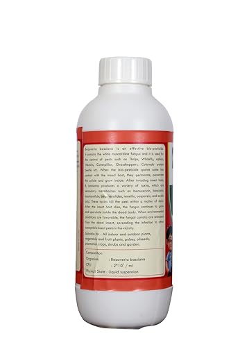 Image of PLANT'S BUDDY - Beauveria Bassiana For Plants Liquid (2 * 10^9 CFU /ml) - Effective Against Leaf Eating Insects - Bio-Insecticide for All Indoor and Outdoor Plants - 500 ml