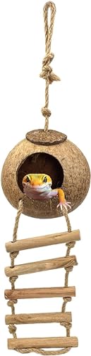 RRibcVF̑nMOEʒEZLZCCR̉OۉpCRpEʒɐBpȆ