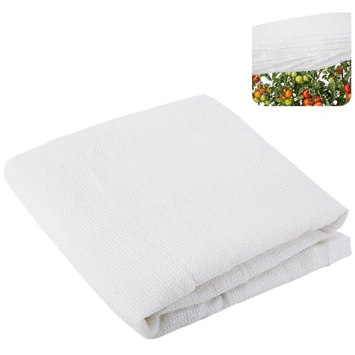 Mizelu 9.9 x 6.6 ft Shade Cloth