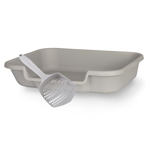 KittyGoHere Senior Cat Litter Box with NEW Scoop, Large Size Box, Grey Color, Low 3