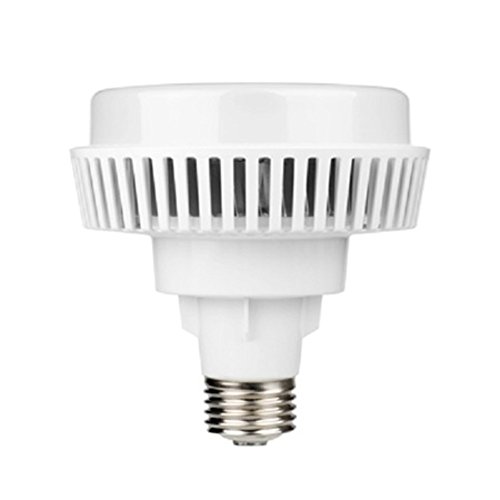 Lyo Lampadina industriale LED E40, 80 W, bianco
