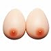 T&J Fashion Silicone Breast Forms Fake Boobs False Breast for Women Mastectomy Postoperative Breast Prosthesis Crossdresser, Nude, L(800g/pair, C Cup/34DD/36D/38C/40B)
