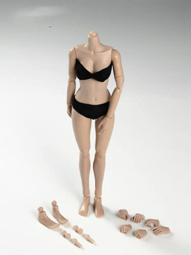 RoofWorld 1/6 Scale Miniature Figure Body, 12inch Pale Skin Super Flexible Joint Body Half-Pack Silicone Huge Bust Action Figure Body Doll Collection...