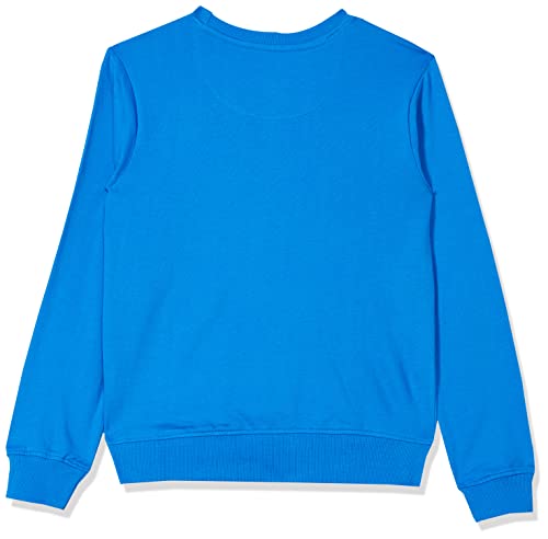 Image of U.S. POLO ASSN. Boys Sweatshirt
