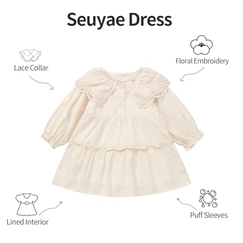 Toddler Girl Embroidered Dress Cotton Lined Eyelet Lace Trim for 12M-6X3