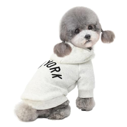 [Lady glamour] ybgp NEW YORK S g[i[ yAbN N  g H~ ^ ^ p[J[ (O[, M)