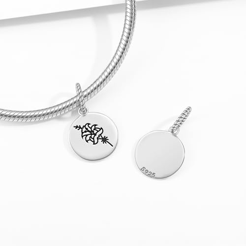 La Mejor Lista de Lirio Persa los más recomendados. 23 Imagen adicional