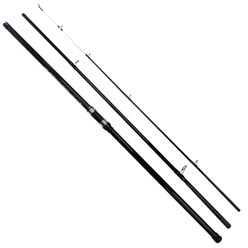 Canne à pêche pour surf/plage de 4,2 m avec puissance de lancer 100-250g Charter 12-11420