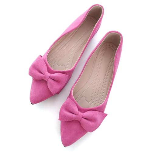 SAILING LU Ballet Flats for Womens Shoes Pointy Toe Cozy Flat Shoes Suede Comfortable Dressy Shoes Wear to Work Slip-on Moccasins