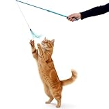 SmartyKat Frisky Flyer...image