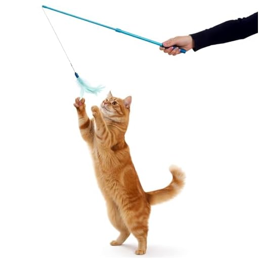 SmartyKat Frisky Flyer Feather Wand Cat Toy, Extendable Up to 24" - Blue, One Size