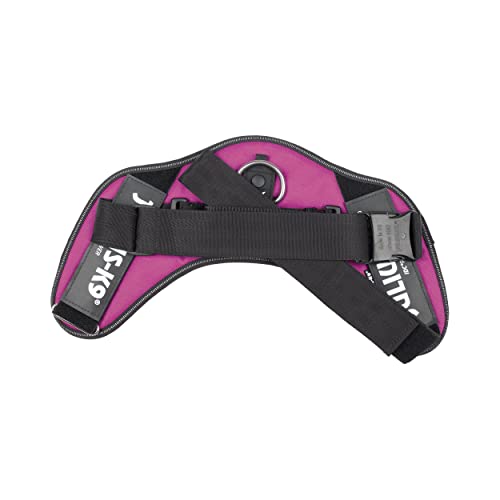 JULIUS K-9 IDC Powergeschirre Dunkelpink mit individuelle Klettaufschriften Bundle optionale Größe, 16IDC+CUSTOMP-DPN, Kleine, mittelgroße, und große Hunde