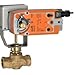 Belimo Aircontrols (Usa), Inc. Globe Valve