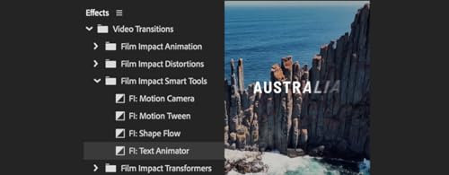 Image of Adobe Premiere Pro | Video Editing and Production Software | 12-Month Subscription with Auto-Renewal, PC /Mac