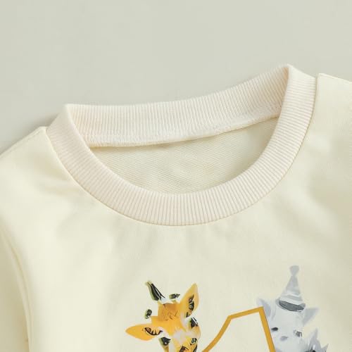WZTYYDS Baby Boy First Birthday Outfit Long Sleeve Sweatshirt Tops Wild One Birthday Shirt Pants Set Fall Clothes4