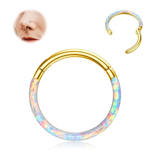 BodyBonita qWtIp[m[YOt[v - 16G/18G/20G 316L T[WJX`[ qWt[v m[YO Zv^O RN wbNX _CX sAX WG[ p[v/sN/u[/zCg 10mm/