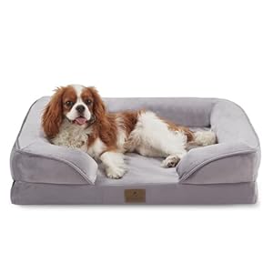Bedfolks Orthopedic Dog Bed, Waterproof Dog Sofa Bed for Medium Dogs, Egg Foam Pet Couch Bed with Removable Washable Cover and Nonslip Bottom, Light Grey