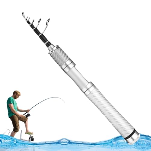 Canne à pêche télescopique compacte pour pêcher sans s'encombrer