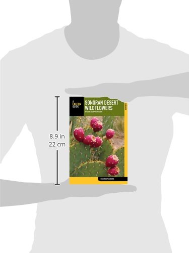 Sonoran Desert Wildflowers: A Guide To Common Plants (Wildflower Series) - Image 3