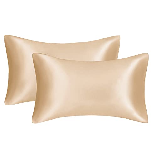 Silky Luxury Satin Pillow Case for Hair & Facial Skin to prevent wrinkles Hidden Zipper (Champagne, Standard(50x75cm) 2 Pk)