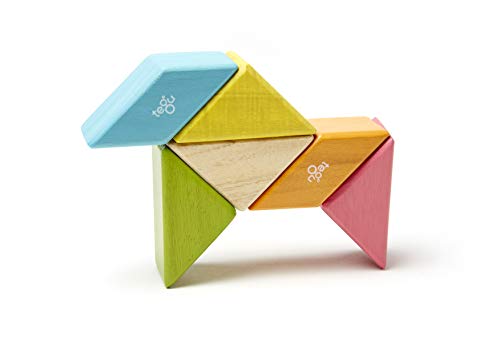 Image of 6 Piece Tegu Pocket Pouch Prism Magnetic Wooden Block Set, Tints