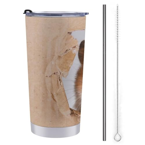 nX^[ ԗpRbv ԗp^u[  ԃJbv }OJbv ۉۗ XeX _CNg^Cv R[q[Jbv J[pi RrjJbv t^t 600ml Ԓ