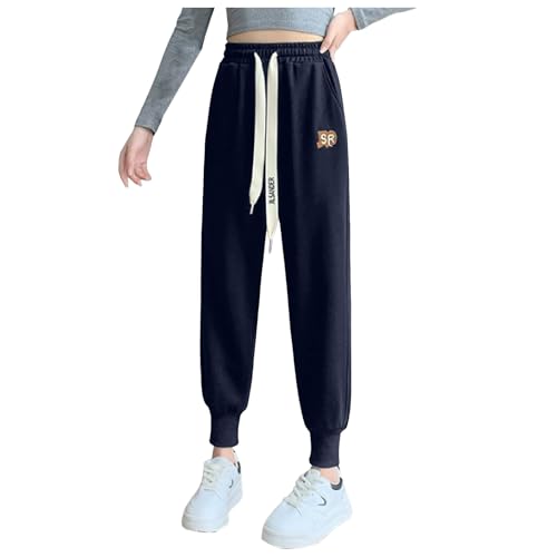 [LANWHO] XEFbgpc fB[X H~ 傫TCY t[XN  ۉ  g ItBX JWA hY{ r  _炩ȔG 킢 {A  gY{ 䟭 XbNX ʋ ʊw