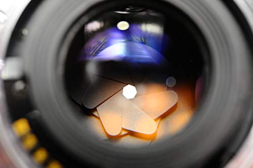 Minolta AF 50mm F1.7 Full frame Lens for A mount Sony/Minolta SLR DLSR Cameras (Renewed)