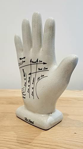 Assorted Collections Set Of Ceramic Palmistry Hand And Phrenology Head