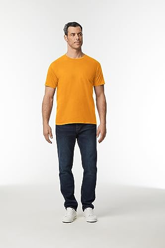 Image of Gildan Men T-Shirt