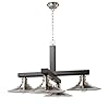 Artcraft Lighting AC11044BN Transitional Four Light Chandelier from Ambrose Collection in Pewter, Nickel, Silver Finish, 20.00x31.00x31.00 #4