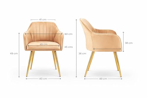 Image of Accent Chairs for Living Room | Modern Armchair in Velvet Fabric with Golden Legs | Pack of 1 Chair for Home, Office, Restaurent, Cafe (Light Brown)