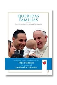 Paperback QUERIDAS FAMILIAS: CLAVES Y PROPUESTAS PARA VIVIR EN FAMILIA. Book