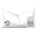Pillowflex Synthetic Down Pillow Insert for Sham Aka Faux/Alternative (14 Inch by 22 Inch)