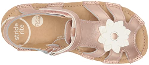 Image of Stride Rite SRT Lottie (Toddler)