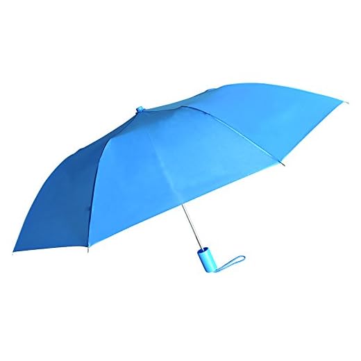 Compact Travel Umbrella in Blue