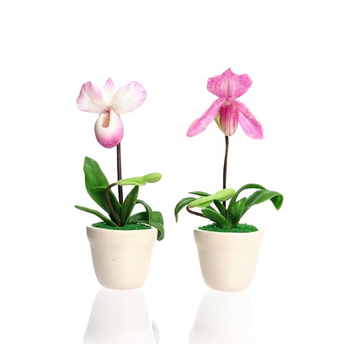 Imanes Decorativos Orquídea Blanca y Rosa 3D Set 2