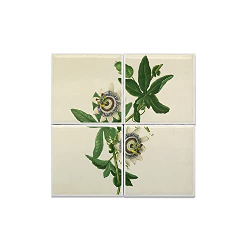 Carreaux céramique Passiflora décoration murale artistique finition premium