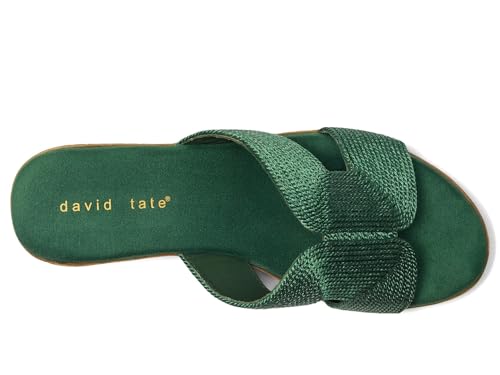 Image of David Tate Vibe