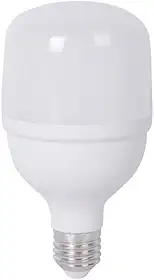 Lâmpada Led Alta Potência 20W Luz Branca Bivolt Sylvânia
