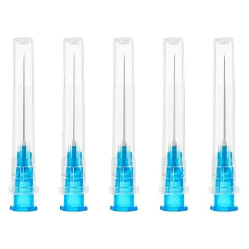 100 Stück Edelstahl Abgabe Tube mit DeckelIndustrie Laborzubehör Nadeln für Haushalt Hobby Öl Klebstoff Einzeln verpackt
