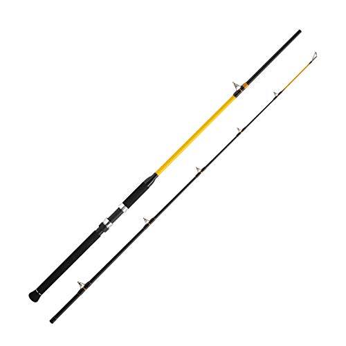 WFT Never Crack Catfish Boat 250-1000g 2,10m WFT Never Crack Catfish Boat 250-1000g 2,10m