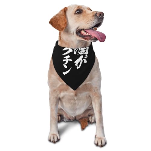 �������N�`�� ���p�o���_�i �y�b�g�A�N�Z�T���[ ���߉\�ȎO�p�X�J�[�t �􂦂�X�^�C ��v�ȃX�J�[�t ���^���A���^���A��^���A�L�p