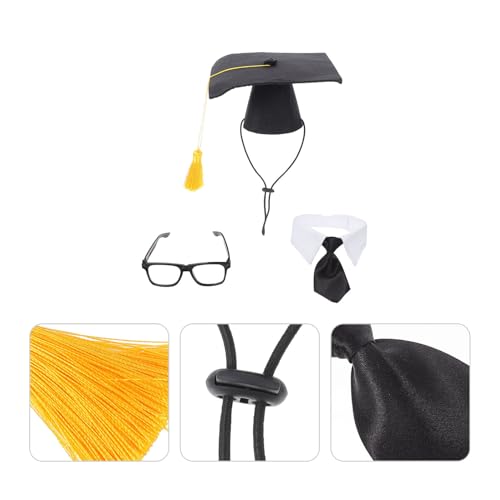 Sombrero y corbata de graduación para mascotas miniatura 5