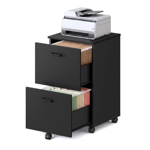 VASAGLE 2-Drawer File Cabinet, Small Rolling Filing Cabinet