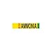 Brady 90464, 0.75" Dia. Thru 2.375" Dia. Vinyl Blank Liq Ammonia Low Pipe Marker, 50 Cards of 4 Labels