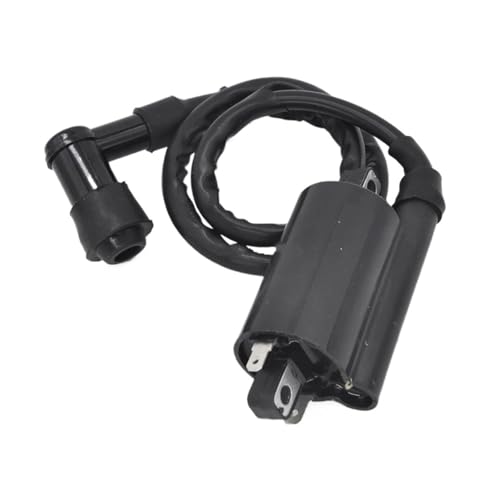 Dispositivo de encendido de motocicleta para Linhai 300cc y Virago 250