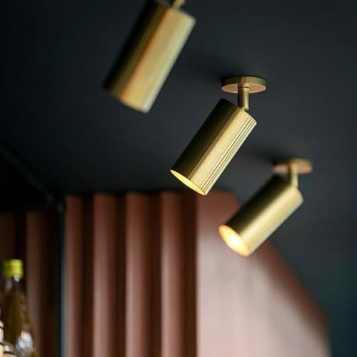 Image of LED Ceiling Spotlight Adjustable Spotlight Directional Spot Lights Indoor Bright Can Accent Fixture for Living Room Bedroom - 5W 400lm 3000K Warm White